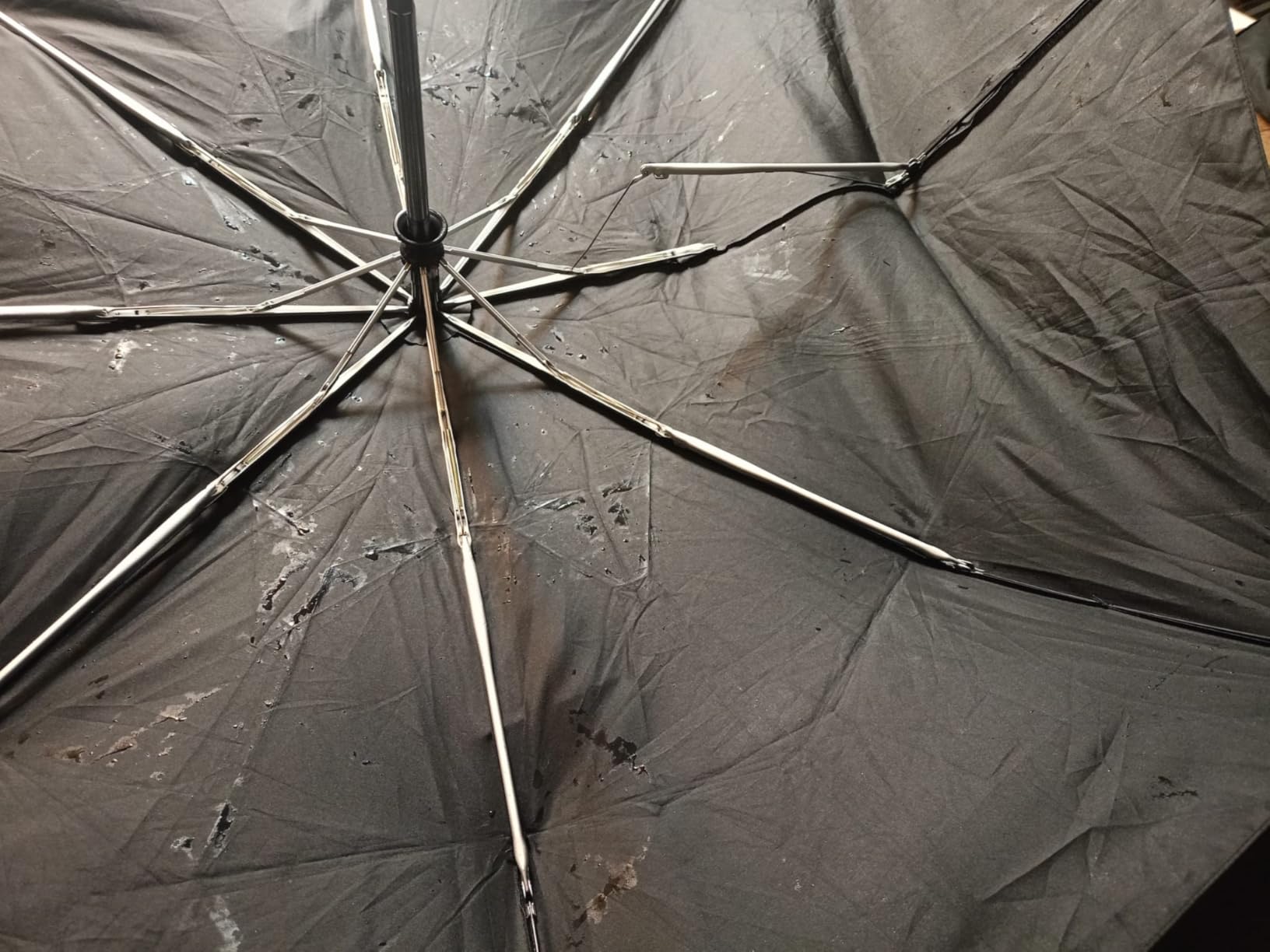 Bon parapluie